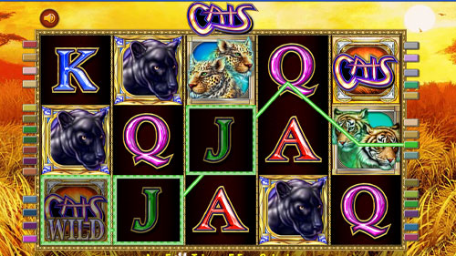 Cats Slot Win